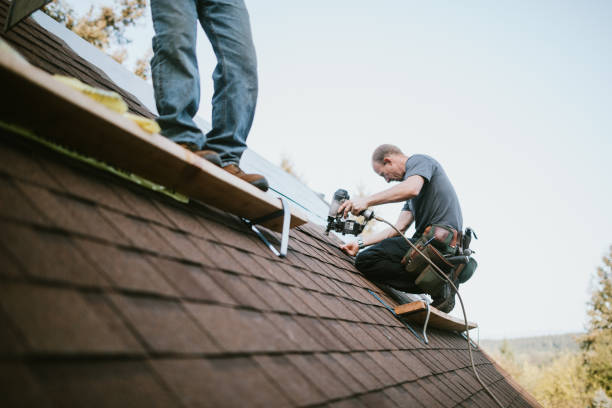 Best Storm Damage Roof Repair  in Temple Hills, MD