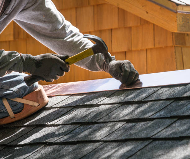 Best Roof Gutter Cleaning  in Temple Hills, MD